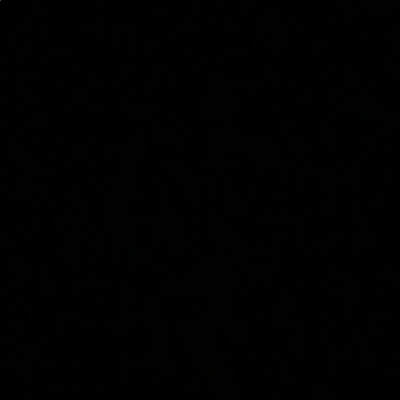 Meet your Posher, Allie - Picture 1 of 1